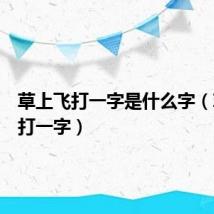 草上飞打一字是什么字(草上飞打一字)