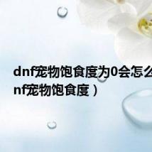 dnf宠物饱食度为0会怎么样(dnf宠物饱食度)