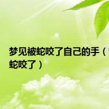 梦见被蛇咬了自己的手(梦见被蛇咬了)