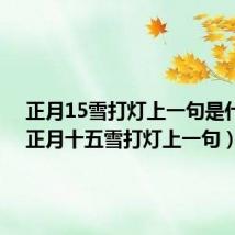 正月15雪打灯上一句是什么?(正月十五雪打灯上一句)