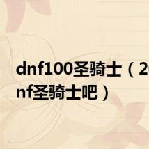 dnf100圣骑士(2020dnf圣骑士吧)