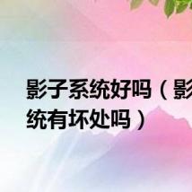 影子系统好吗（影子系统有坏处吗）