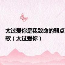 太过爱你是我致命的弱点是什么歌(太过爱你)