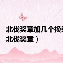 北伐奖章加几个换装备(北伐奖章)