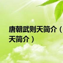 唐朝武则天简介(武则天简介)