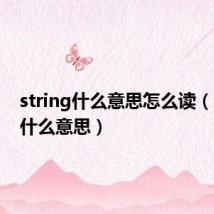 string什么意思怎么读(string什么意思)