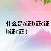 什么是a证b证c证(a证b证c证)