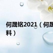 何晟铭2021（何晟铭资料）
