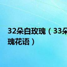 32朵白玫瑰(33朵白玫瑰花语)