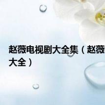 赵薇电视剧大全集(赵薇电视剧大全)