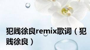 犯贱徐良remix歌词（犯贱徐良）