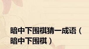 暗中下围棋猜一成语（暗中下围棋）