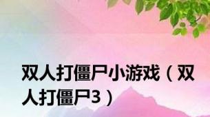 双人打僵尸小游戏（双人打僵尸3）