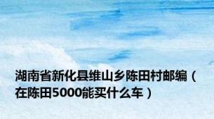 湖南省新化县维山乡陈田村邮编（在陈田5000能买什么车）