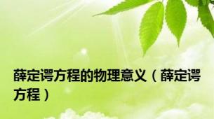 薛定谔方程的物理意义（薛定谔方程）