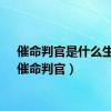 催命判官是什么生肖（催命判官）