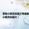 宠物小精灵动画片粤语版（宠物小精灵动画片）