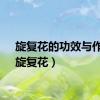 旋复花的功效与作用（旋复花）
