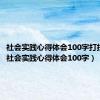 社会实践心得体会100字打扫卫生（社会实践心得体会100字）