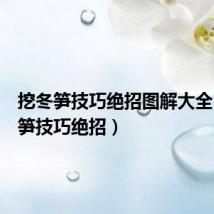 挖冬笋技巧绝招图解大全(挖冬笋技巧绝招)