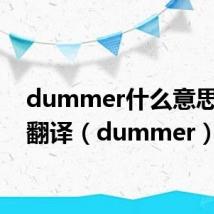 dummer什么意思中文翻译(dummer)