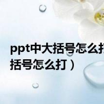 ppt中大括号怎么打(大括号怎么打)