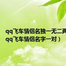 qq飞车情侣名独一无二两个字(qq飞车情侣名字一对)
