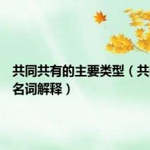 共同共有的主要类型(共同共有名词解释)