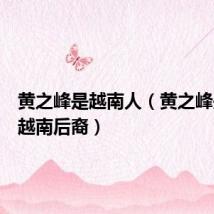 黄之峰是越南人(黄之峰是不是越南后裔)