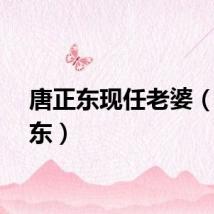 唐正东现任老婆（唐正东）
