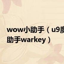 wow小助手(u9魔兽小助手warkey)