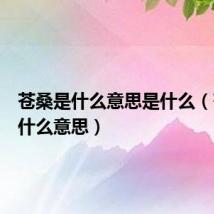 苍桑是什么意思是什么(苍桑至什么意思)