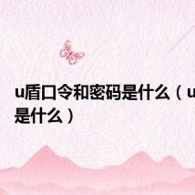 u盾口令和密码是什么(u盾口令是什么)