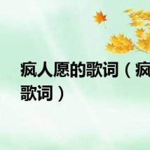 疯人愿的歌词（疯人愿歌词）