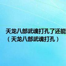 天龙八部武魂打孔了还能合成吗(天龙八部武魂打孔)