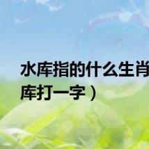 水库指的什么生肖（水库打一字）