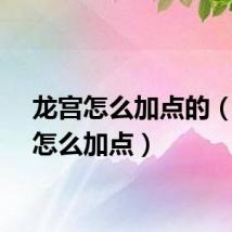 龙宫怎么加点的（龙宫怎么加点）