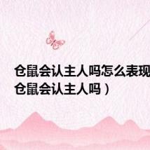 仓鼠会认主人吗怎么表现出来(仓鼠会认主人吗)