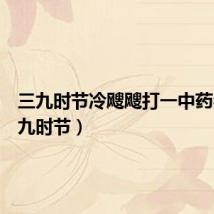 三九时节冷飕飕打一中药名(三九时节)