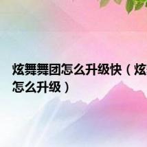 炫舞舞团怎么升级快(炫舞舞团怎么升级)