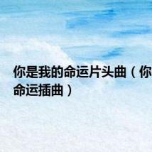 你是我的命运片头曲(你是我的命运插曲)