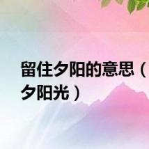 留住夕阳的意思（留住夕阳光）