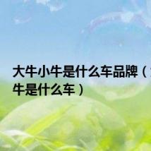 大牛小牛是什么车品牌(大牛小牛是什么车)