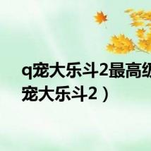 q宠大乐斗2最高级(q宠大乐斗2)