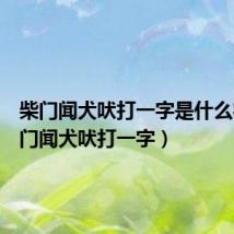 柴门闻犬吠打一字是什么字(柴门闻犬吠打一字)