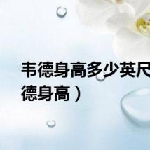 韦德身高多少英尺(韦德身高)