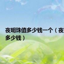 夜明珠值多少钱一个(夜明珠值多少钱)
