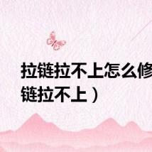 拉链拉不上怎么修（拉链拉不上）