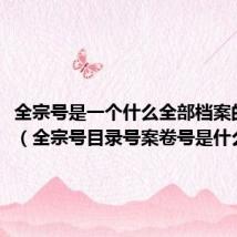 全宗号是一个什么全部档案的代号(全宗号目录号案卷号是什么意思)