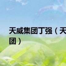 天威集团丁强（天威集团）